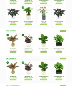 Theme wordpress chậu cây mini - Theme Wordpress Giá Rẻ - Mua Bán Theme WP Đẹp Chuẩn Seo