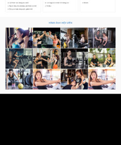 Theme wordpress phòng tập gym - Theme Wordpress Giá Rẻ - Mua Bán Theme WP Đẹp Chuẩn Seo